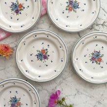 Afbeelding in Gallery-weergave laden, Vintage bordjes 7 stuks 
